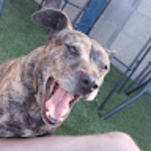 Meet your Posher, Adelina